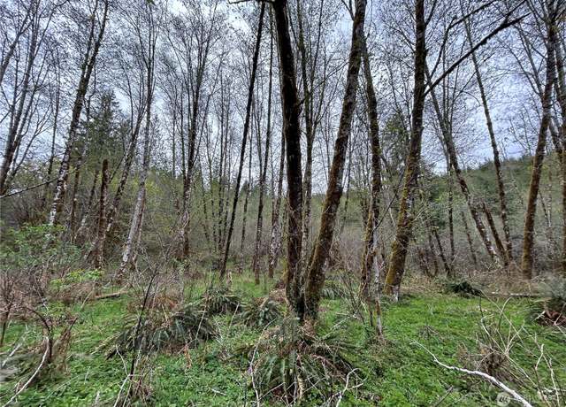 Property at 0 Lot 3 Abernathy Creek Rd, Longview, WA 98632