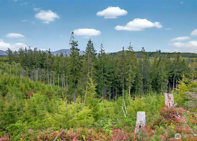 Property at 4 Parpala Rd #4, Naselle, WA 98638