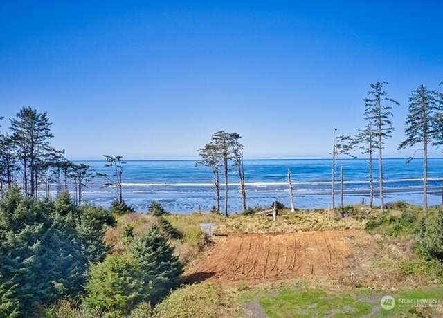 Property at 58 Chauncey Ln, Pacific Beach, WA 98571