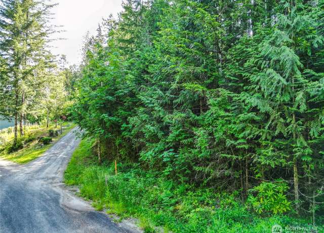 Property at 0 Creek Ct, Brinnon, WA 98320