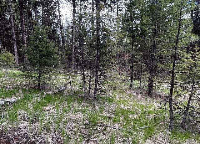 Property at 0 Wannamaker Rd, Oroville, WA 98844