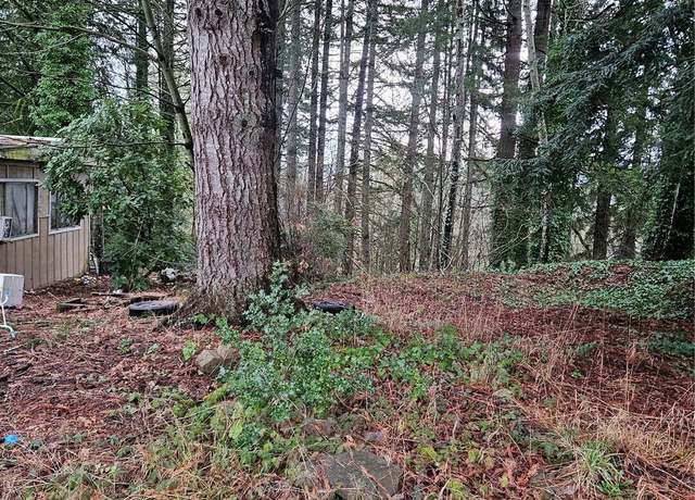 Property at 321 NE Barbara Blvd, Belfair, WA 98528