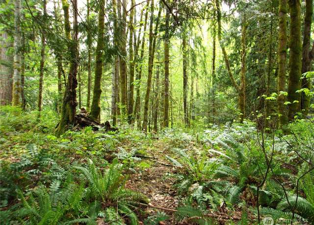 Property at 0 River Rd, Brinnon, WA 98320
