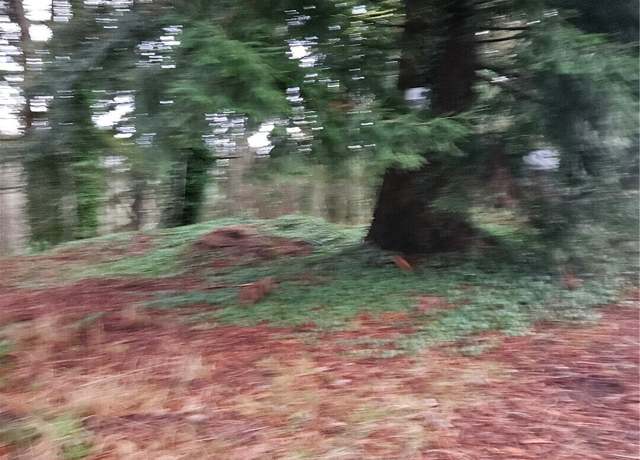 Property at 323 NE Barbara Blvd, Belfair, WA 98528