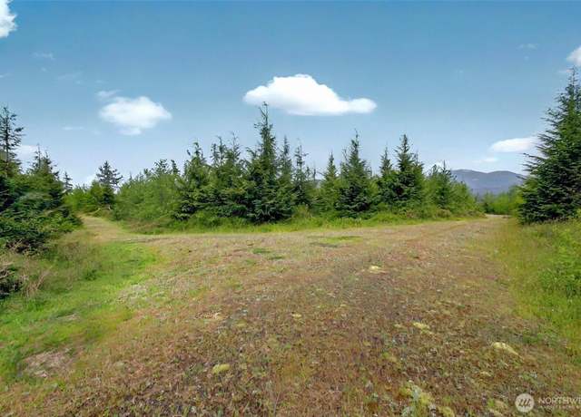 Property at 5 Parpala Rd #5, Naselle, WA 98638