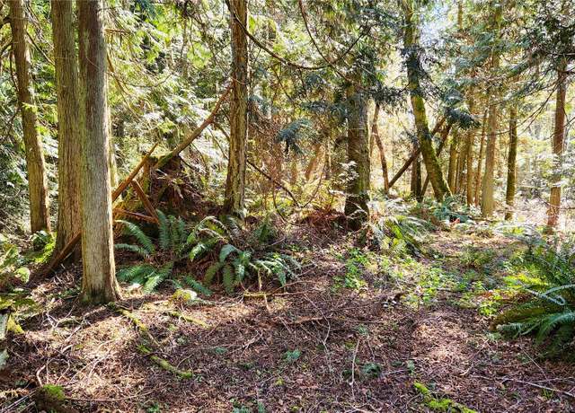 Property at 0 Lot 27 Skunk Bay Rd NE, Hansville, WA 98340