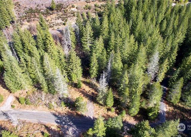 Property at 8 Lahar Ln, Cougar, WA 98616