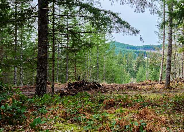 Property at 1 A Lahar Ln, Cougar, WA 98616