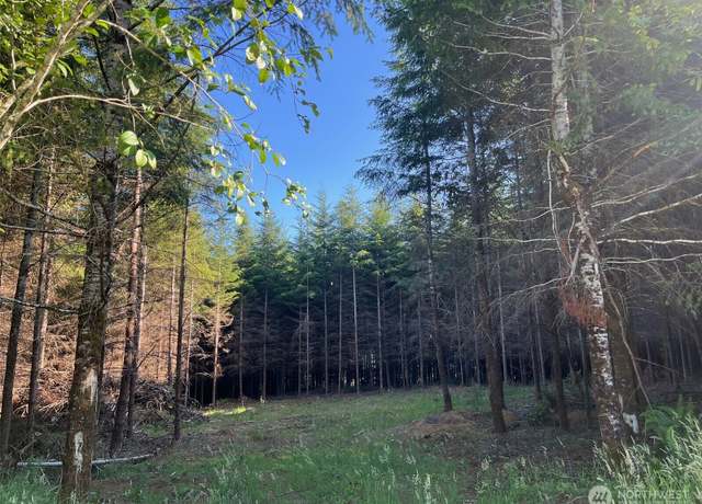 Property at 7 Beaver Hill Ln, Montesano, WA 98563