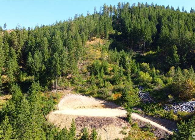 Property at 0 Brisky Cyn, Cashmere, WA 98815
