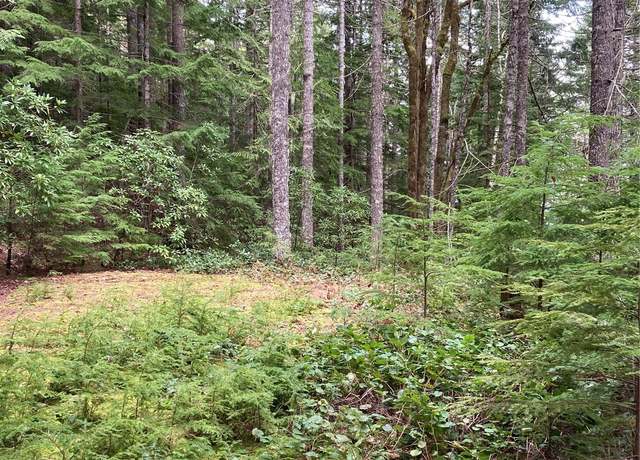 Property at 1350 N Hilltop Loop Rd, Hoodsport, WA 98548