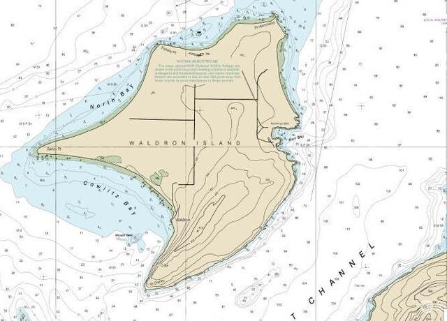 Property at 100 Airport Rd, Waldron Island, WA 98297