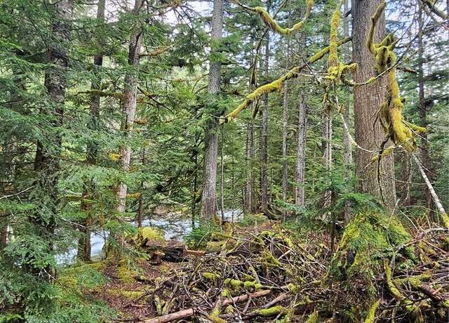 Property at 87020 NE 122nd St, Skykomish, WA 98288