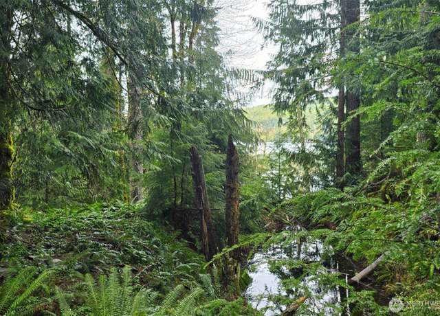 Property at 1310 N Cushman Ridge Dr, Hoodsport, WA 98563
