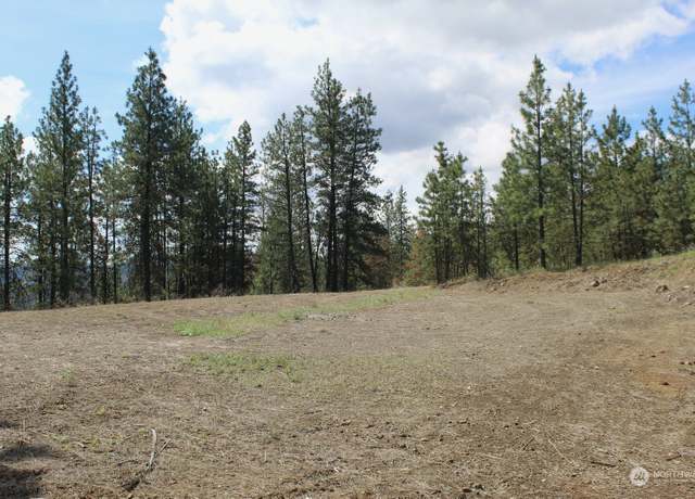 Property at 0 Lot 1 Badger Sontag Rdg E, Davenport, WA 99122