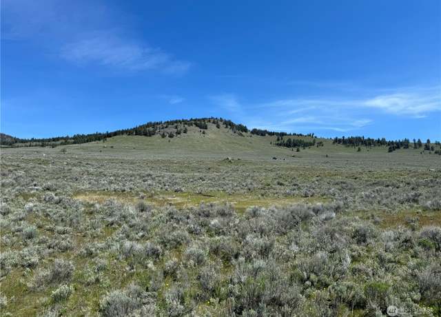 Property at 0 Neil Circle Rd N, Tonasket, WA 98855