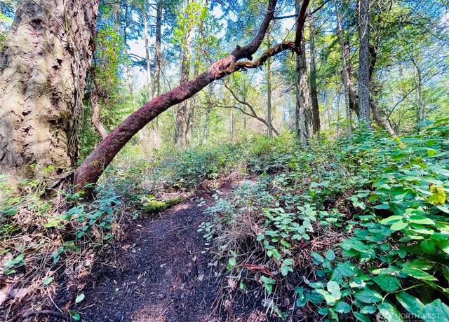 Property at 0 Madrona Dr, Friday Harbor, WA 98250
