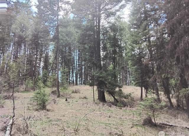 Property at 104 Pine Chee Rd, Oroville, WA 98844