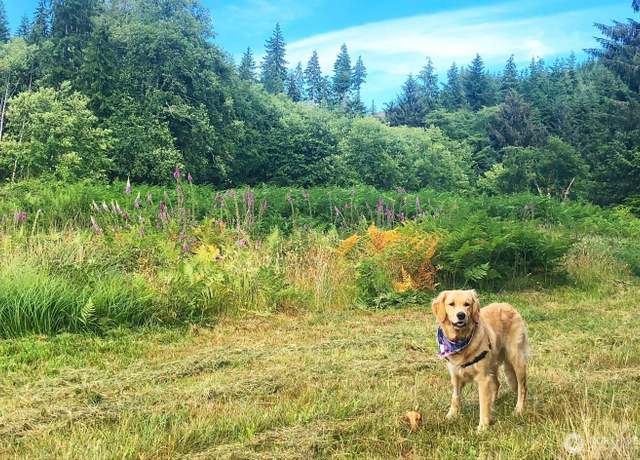 Property at 0 South Valley Rd Lot 5, Naselle, WA 98638