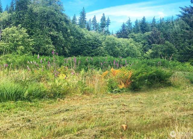 Property at 0 South Valley Rd Lot 5, Naselle, WA 98638