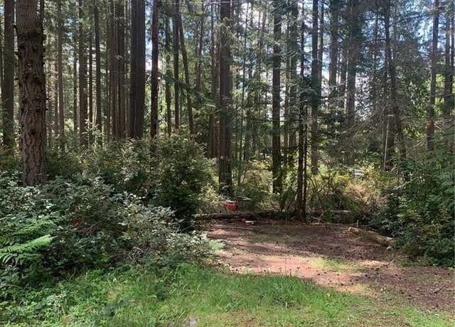 Property at 12108 Wapato Rd, Anderson Island, WA 98303