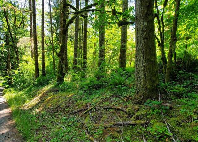 Property at 8290 MT Baker Hwy, Deming, WA 98244
