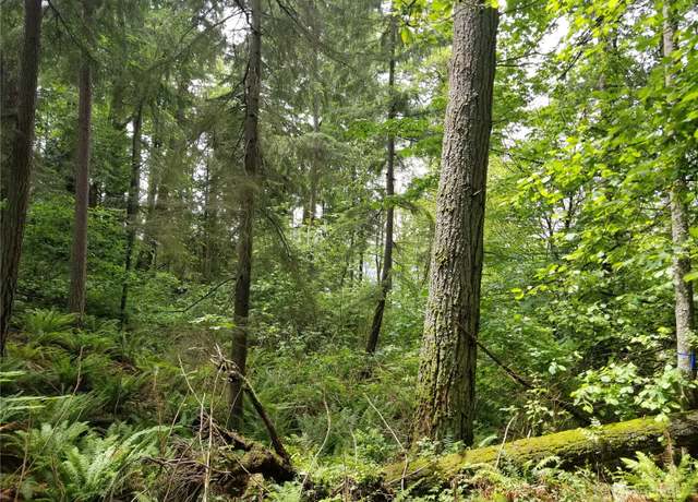 Property at 1500 XX E Lake Sammamish Pkwy SE, Sammamish, WA 98075