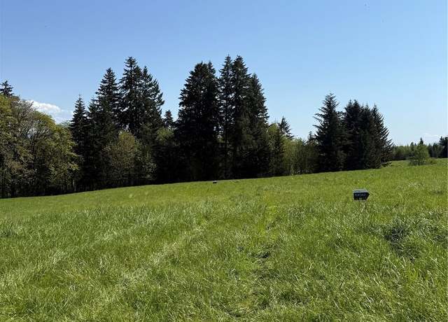 Property at 200 Lot B Fineveiw, Chehalis, WA 98532
