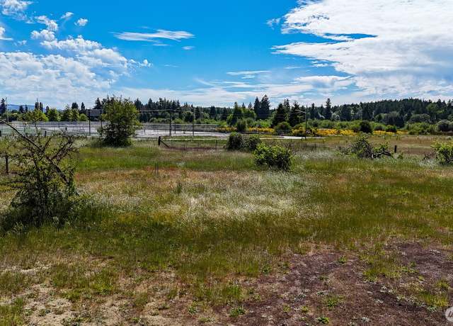 Property at 14711 State Route 510 SE, Yelm, WA 98597