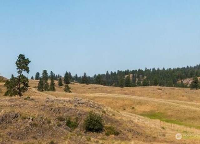 Property at 0 XY Union Ridge Rd, Republic, WA 99166