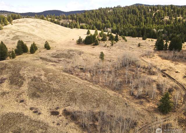 Property at 0 NKA Eagle View Rd, Oroville, WA 98844