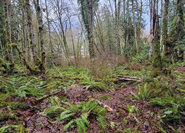 Property at 0 Nevada Ave & Michigan St, Manchester, WA 98353