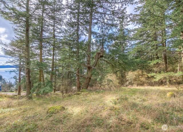 Property at 10 Cascade Lot 10 Way, Orcas Island, WA 98245