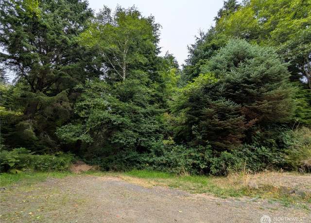 Property at 0 LOT 14 Lamontay Pl, Ilwaco, WA 98624