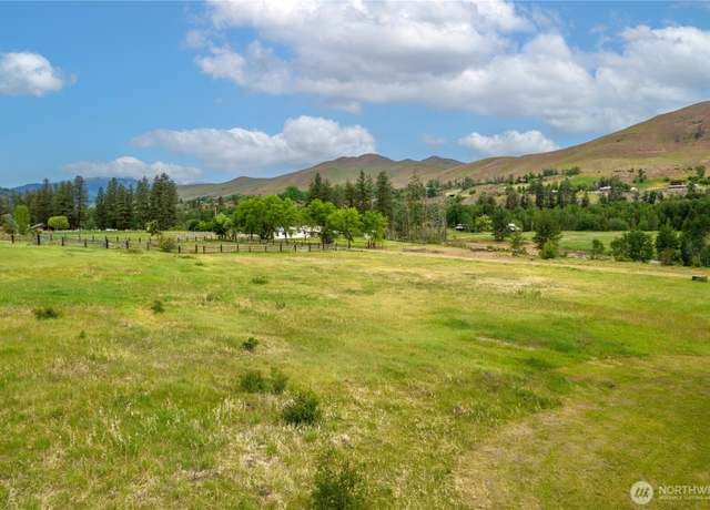 Property at 99 Poorman Creek Rd, Twisp, WA 98856