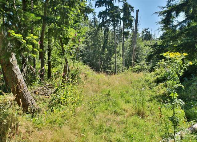 Property at 0 Lot  9 Evergreen Ln, Freeland, WA 98249
