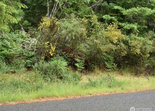 Property at 10921 Pioneer Dr, Anderson Island, WA 98303
