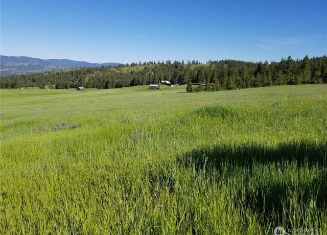 Property at 49 Old Ranch House Rd, Republic, WA 99166
