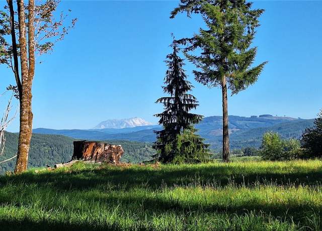 Property at 132 Salem Plant Rd, Silver Creek, WA 98585