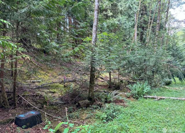Property at 17 Black Bear Ct, Bellingham, WA 98229