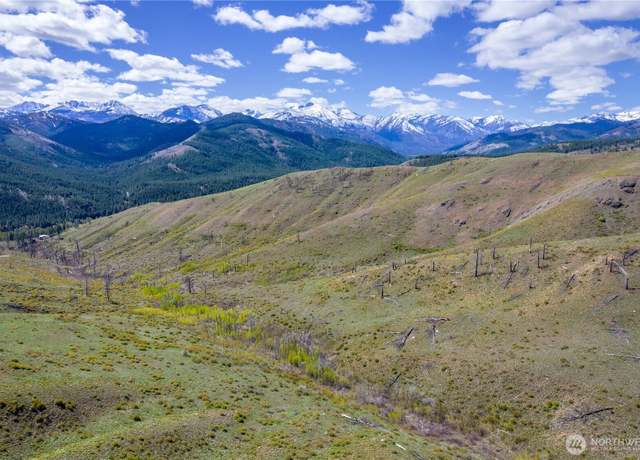 Property at 8 Myers Creek Rd, Twisp, WA 98856