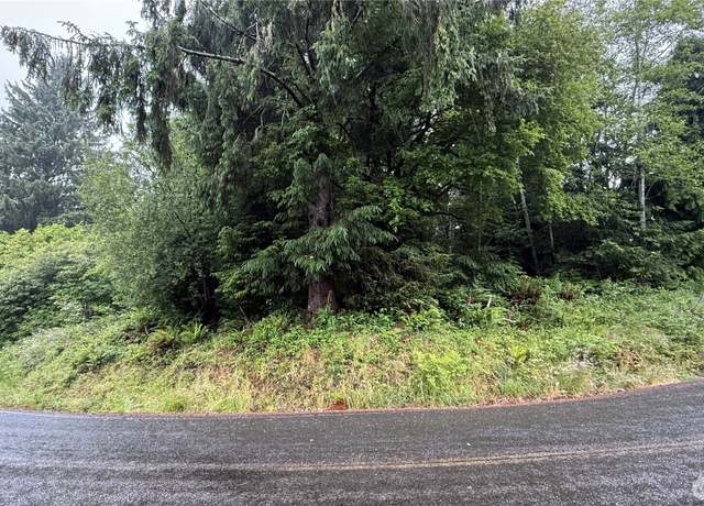 Property at 131015416 S S Bend Palix Rd, South Bend, WA 98586