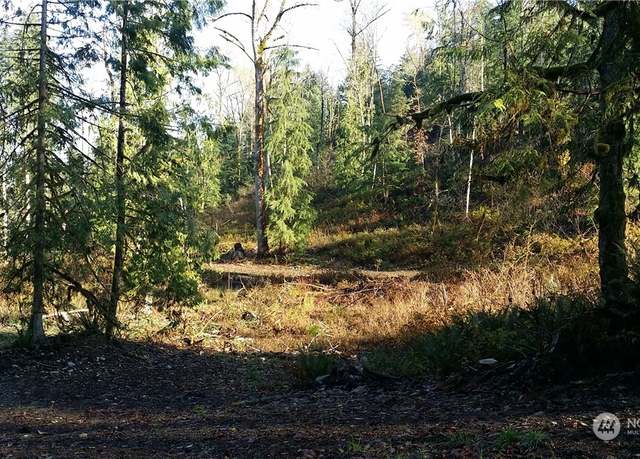 Property at 151 XX Wilkeson-Spiketon Rd (Lot 3), Wilkeson, WA 98396