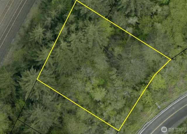 Property at 0 NE 1st St, Winlock, WA 98596