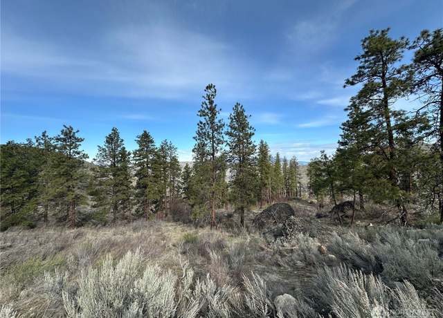 Property at 0 Mountain Spring Rd, Orondo, WA 98843