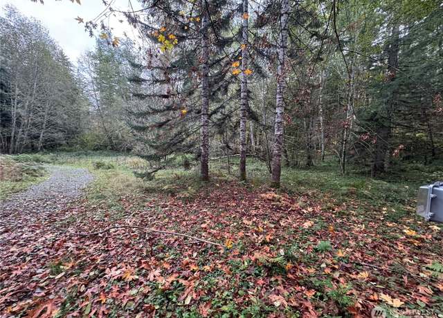 Property at 108 Armstrong Ln, Packwood, WA 98361