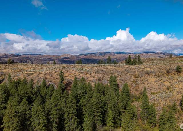 Property at 0 TBD Pharr Out Way, Omak, WA 98841