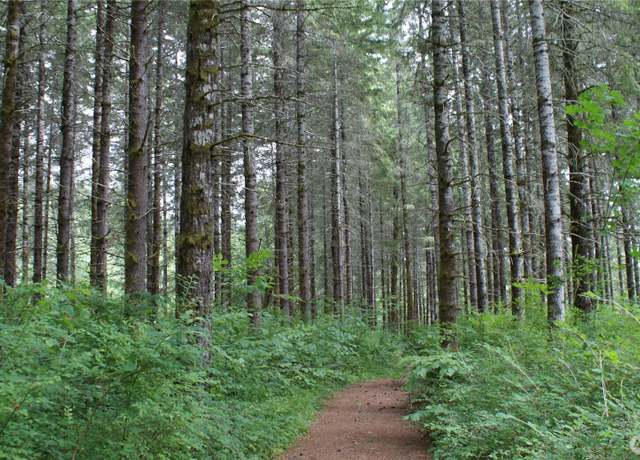 Property at 0 Lincoln Creek Rd, Centralia, WA 98531