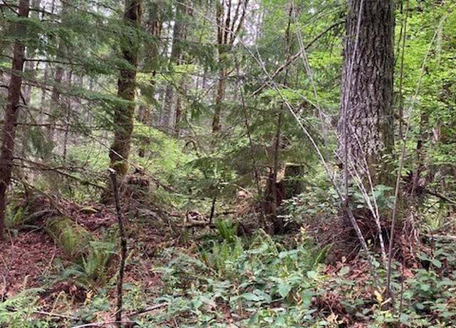 Property at 301 N Yellowhawk Rd, Hoodsport, WA 98548