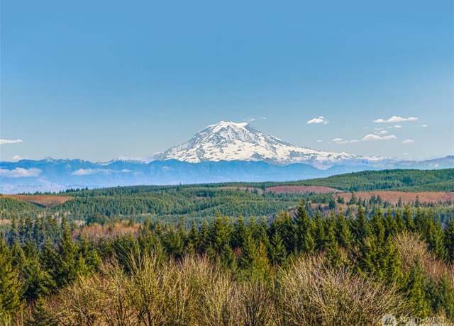 Property at 257 Dax Spur, Castle Rock, WA 98611